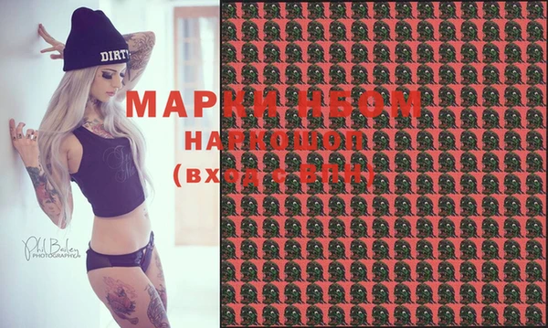 стафф Магадан