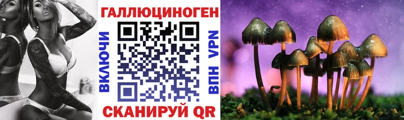 продажа наркотиков  omg как зайти  Псилоцибиновые грибы Psilocybe  Екатеринбург 